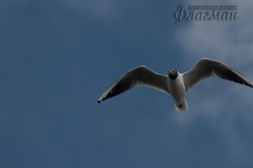 Canon EOS 7D_20190711_170954_r